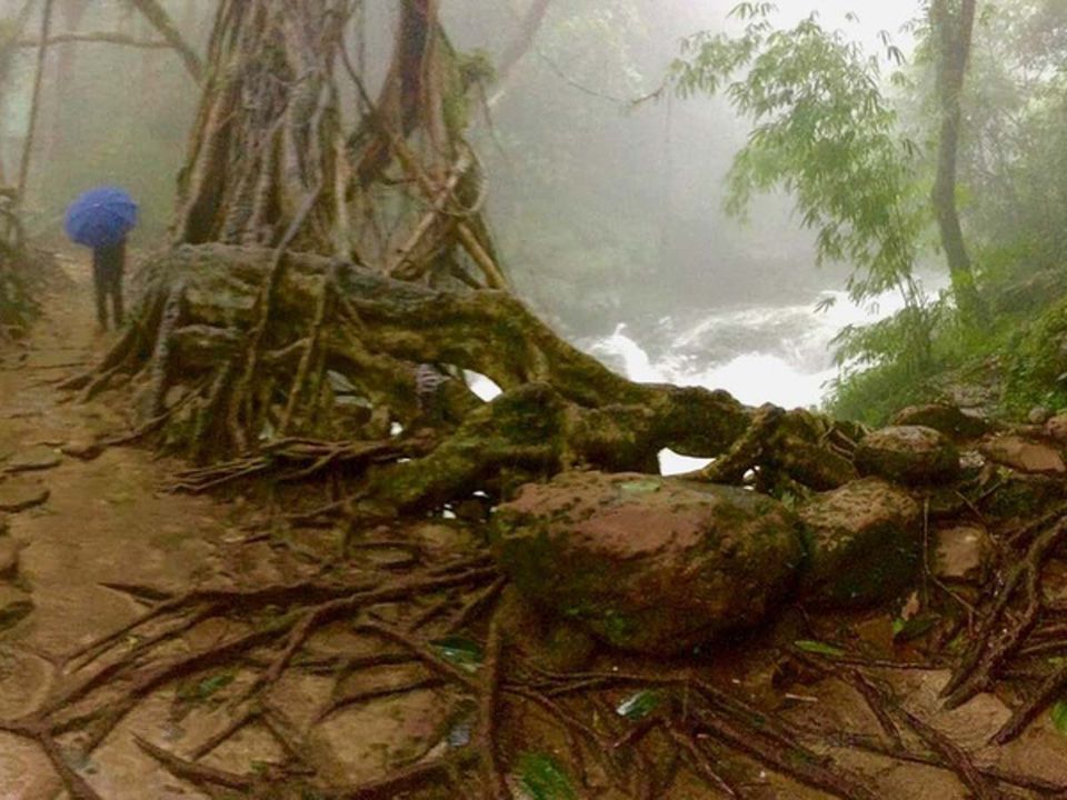Photo of Mawlynnong, Meghalaya, India by Solo Backpacker