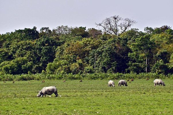 Photo of FINEST PLACE MUST TO VISIT IN NORTHEAST INDIA... 11/14 by Solo Backpacker