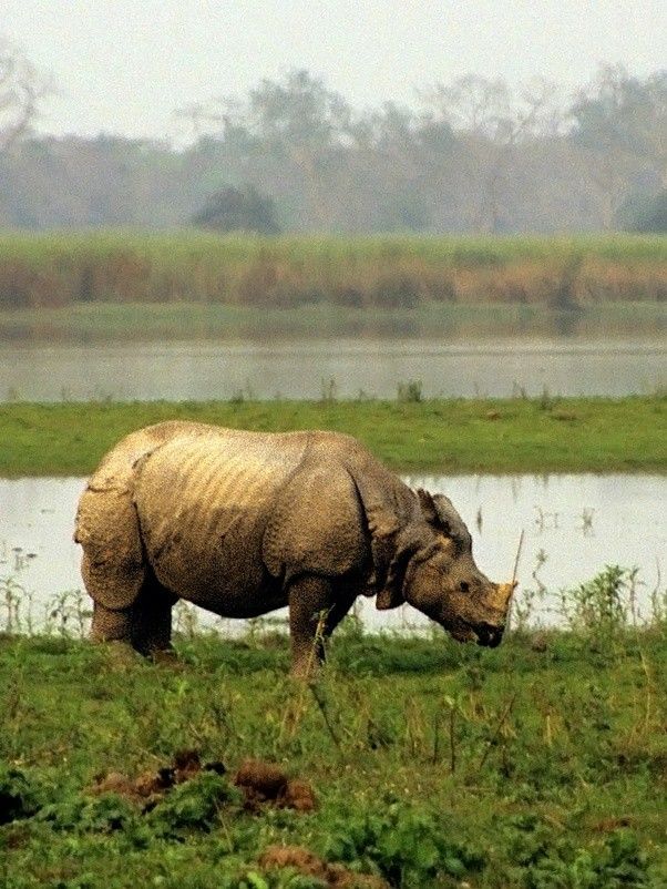 Photo of FINEST PLACE MUST TO VISIT IN NORTHEAST INDIA... 13/14 by Solo Backpacker