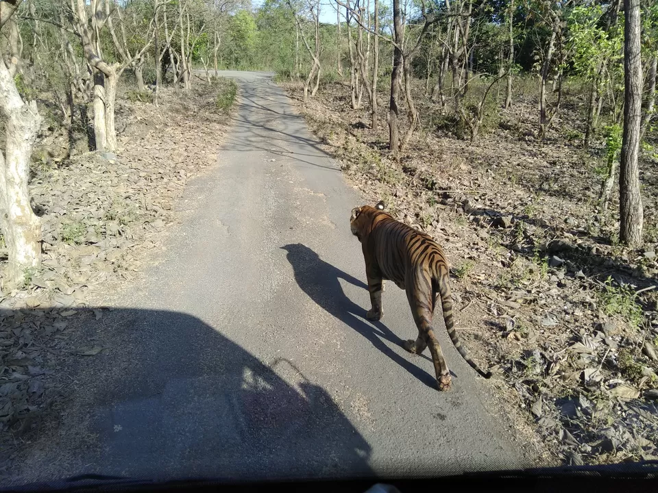 Photo of Sanjay Gandhi National Park, Abhinav Nagar, Mumbai, Maharashtra, India by Karunesh Mishra