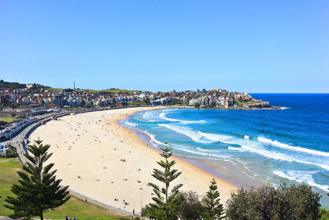 Photo of Summer Sydney in 4 Days 29/32 by Rachelle