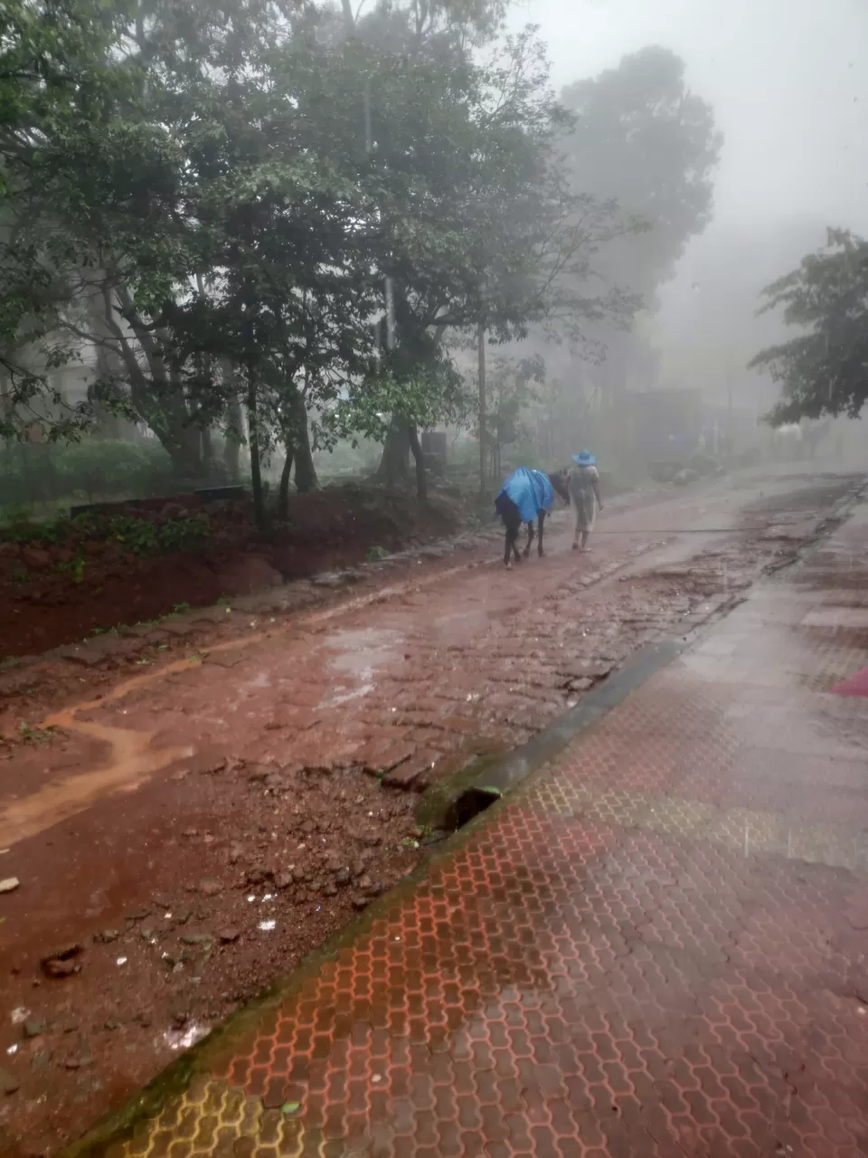 Photo of Matheran, Maharashtra, India by Sachin Farfad Patil