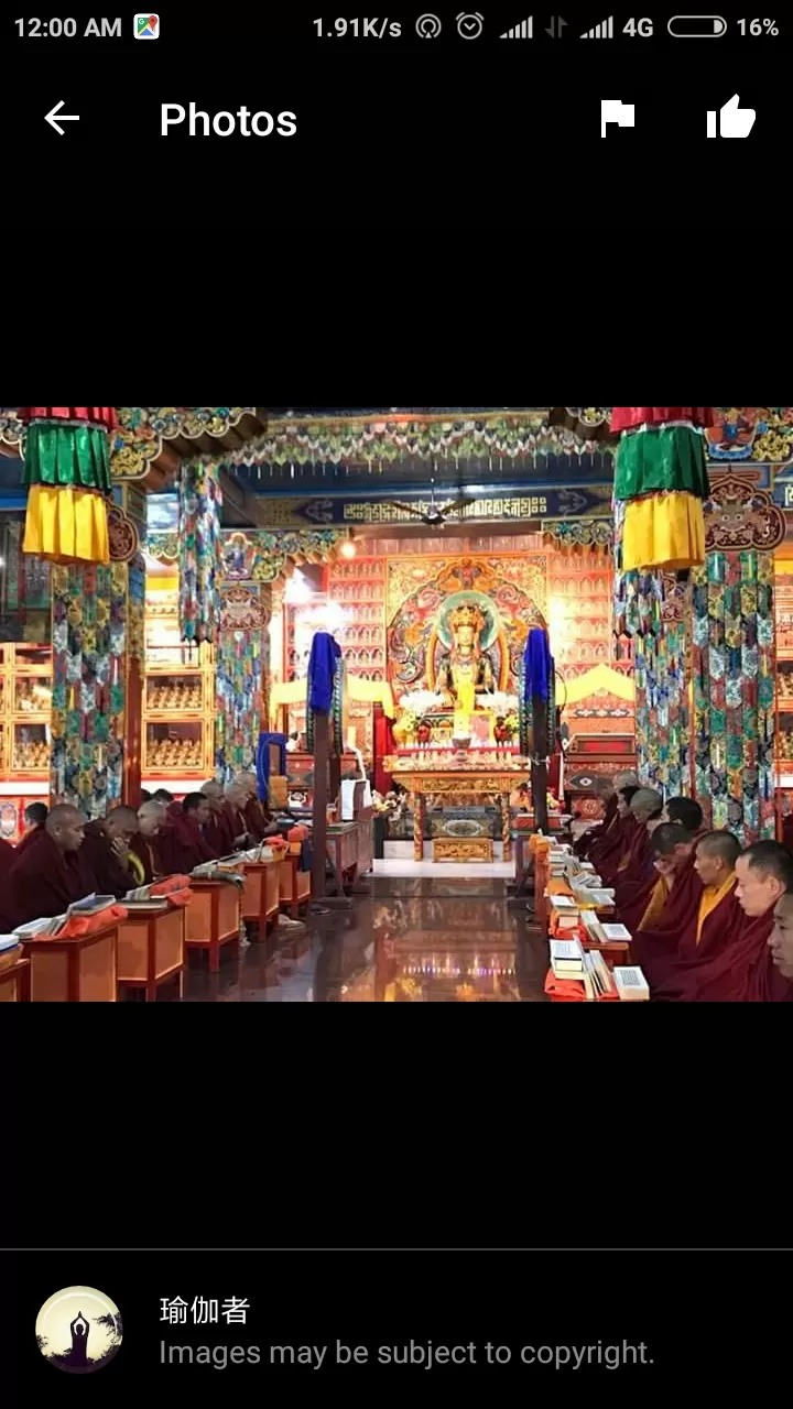 Photo of The Menri Monastery, Dolanji, Ganyar, Himachal Pradesh, India by madhav khindri
