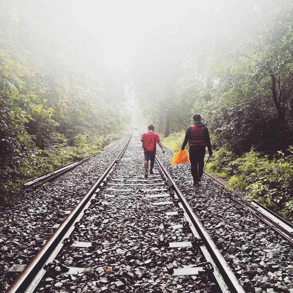 Photo of Amazing Trip to India by avi avinash