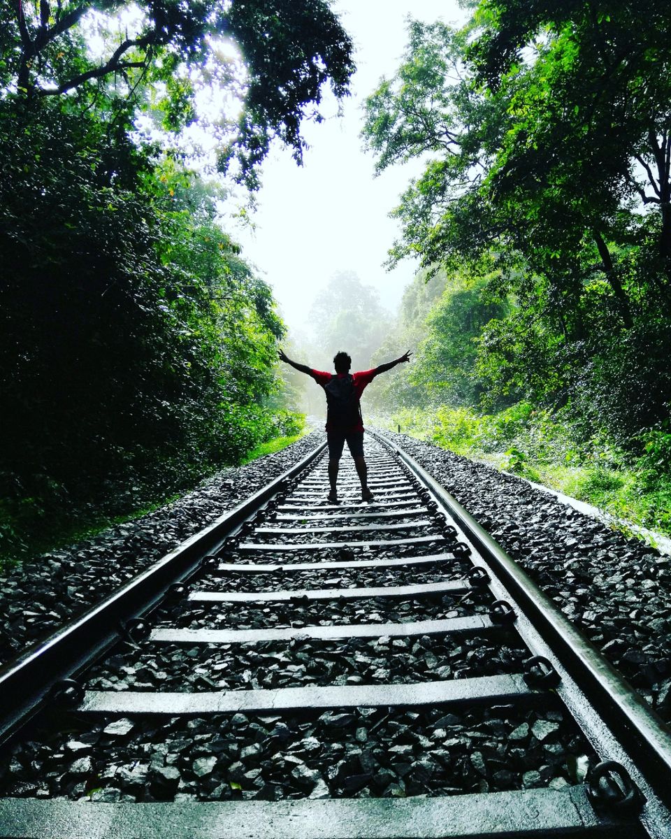Photo of Amazing Trip to India by avi avinash