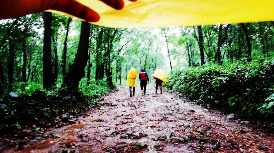 Photo of Amazing Trip to India by avi avinash