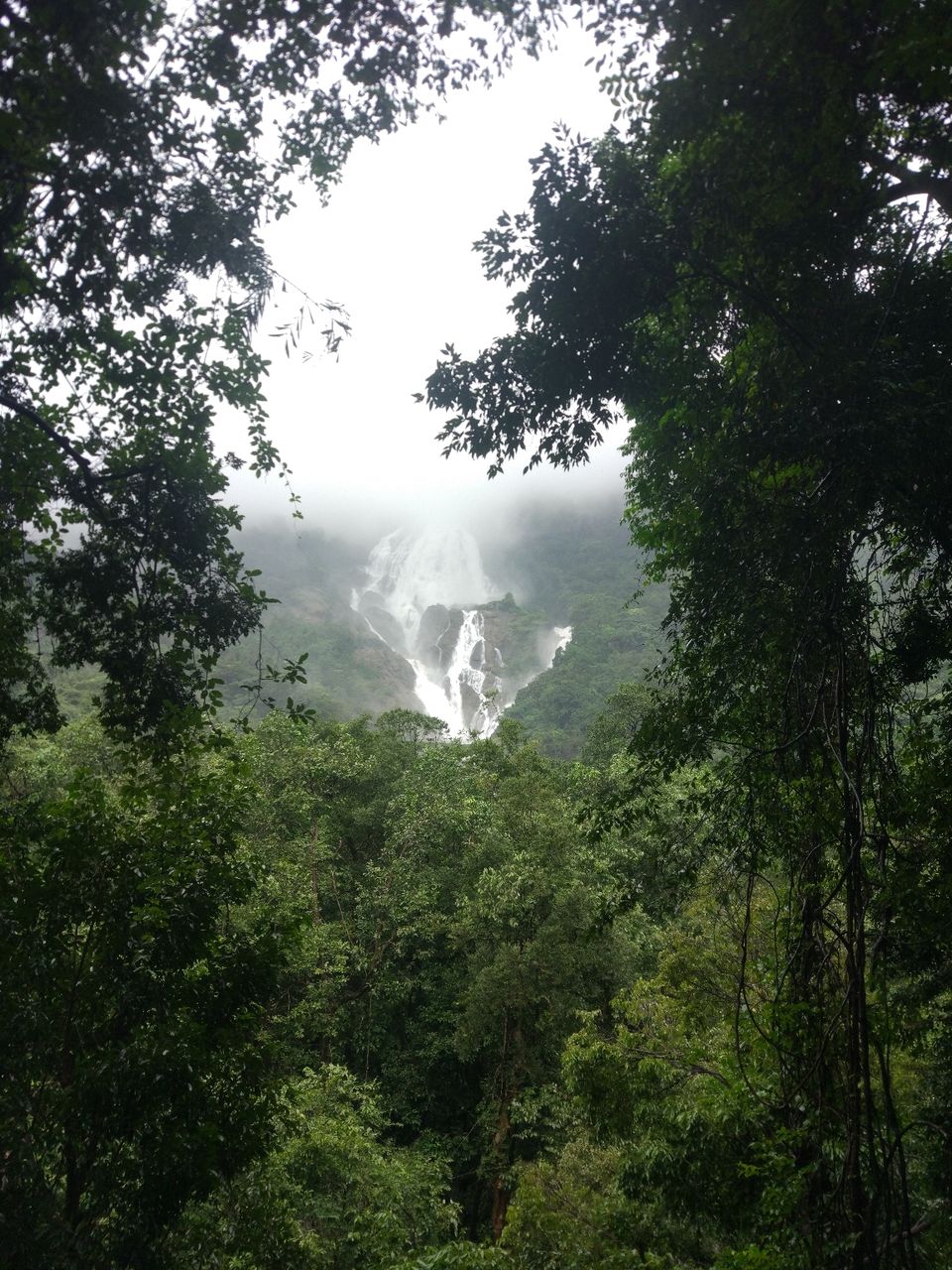 Photo of Amazing Trip to India by avi avinash