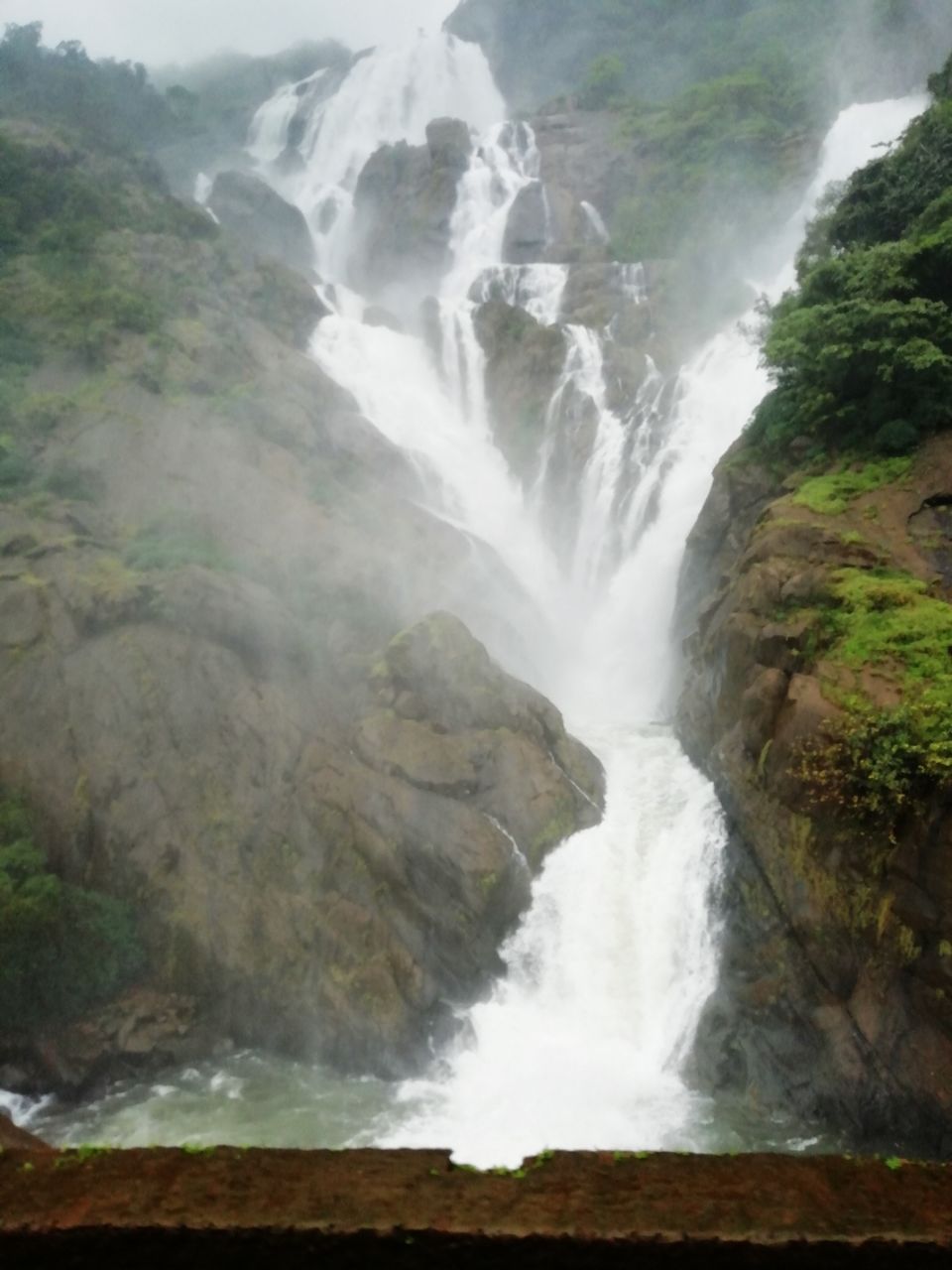 Photo of Amazing Trip to India by avi avinash