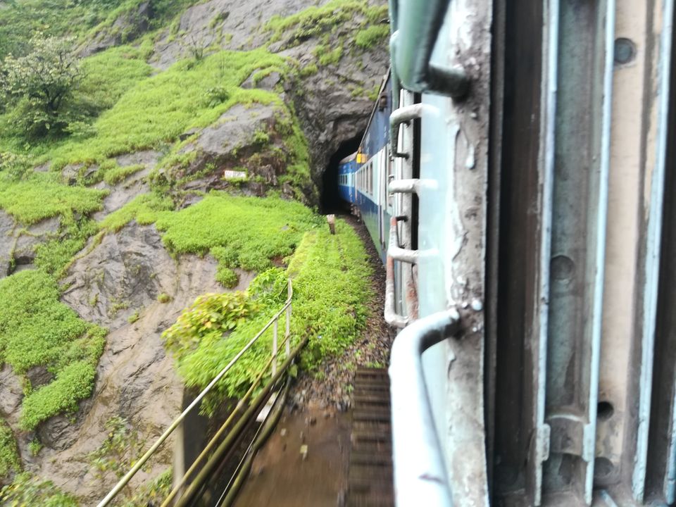 Photo of Amazing Trip to India by avi avinash