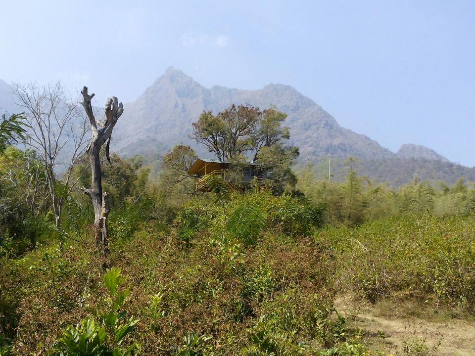 Photo of Jungle Retreat, Masinagudi by Anish Sivakumar