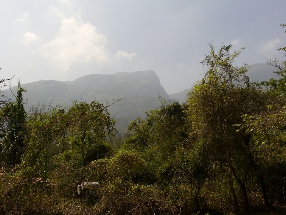 Photo of Jungle Retreat, Masinagudi by Anish Sivakumar