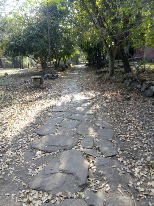 Photo of Jungle Retreat, Masinagudi by Anish Sivakumar