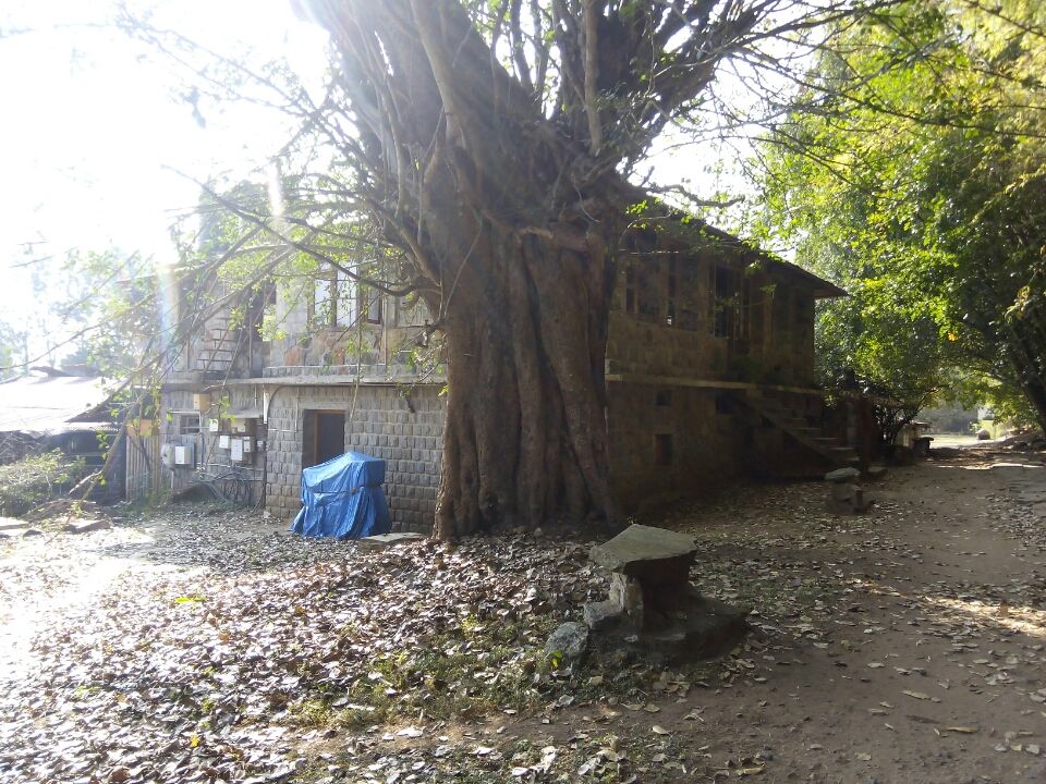 Photo of Jungle Retreat, Masinagudi by Anish Sivakumar