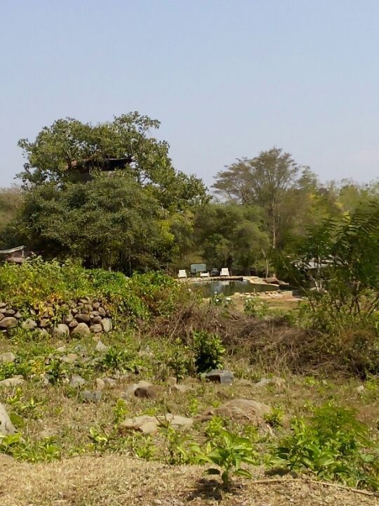 Photo of Jungle Retreat, Masinagudi by Anish Sivakumar
