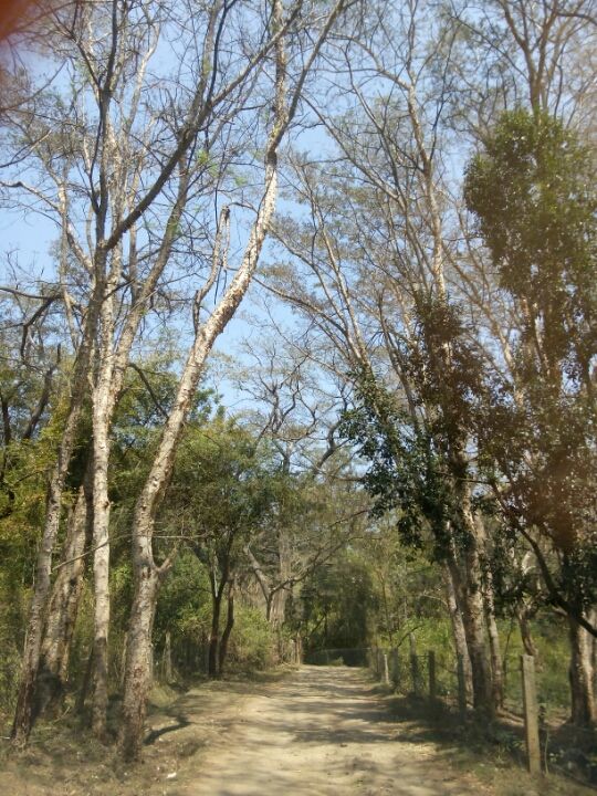 Photo of Jungle Retreat, Masinagudi by Anish Sivakumar