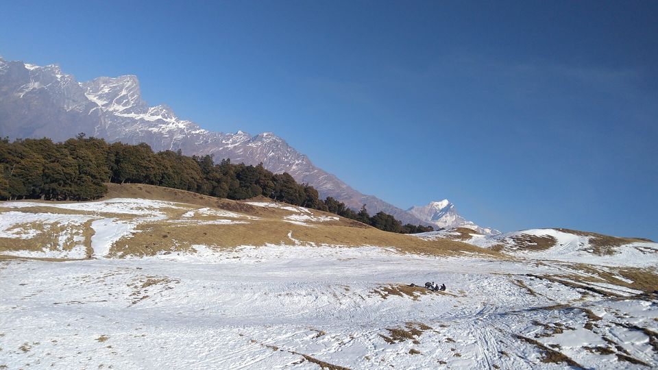 Photo of Auli, Uttrakhand Trip by Vikas kumar