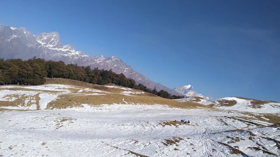 Photo of Auli, Uttrakhand Trip by Vikas kumar