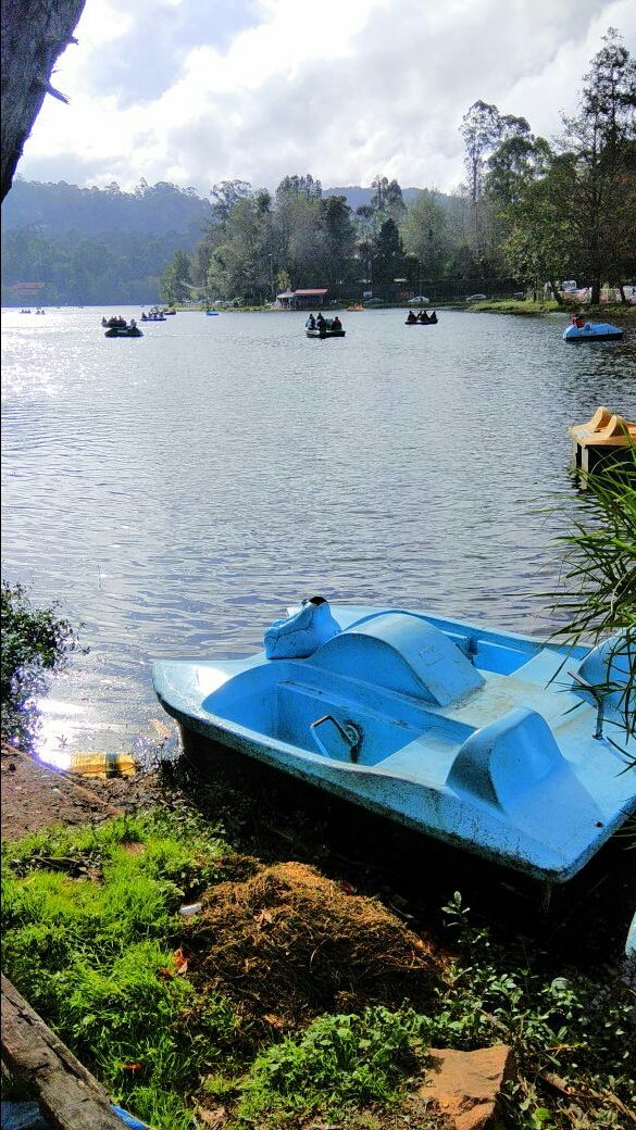 Photo of Kodaikanal, Tamil Nadu, India by Yuvrajsinh Zala