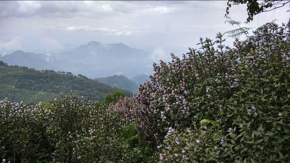 Photo of Kodaikanal, Tamil Nadu, India by Yuvrajsinh Zala