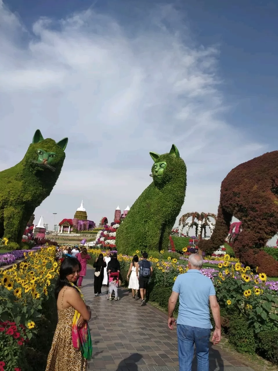 Photo of Dazzling Dubai! by Vaishali Singh