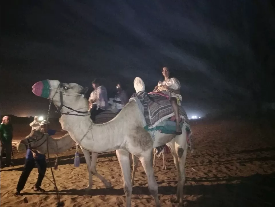 Photo of Dazzling Dubai! by Vaishali Singh