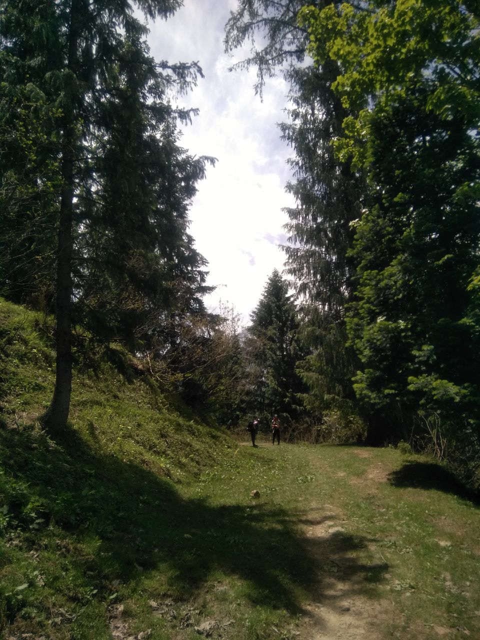 Photo of Manali, Himachal Pradesh, India by Hetvi Surti