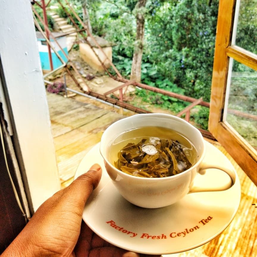 Photo of Explore SriLanka with Intrepid Travel 8/11 by Ankita JaisWal