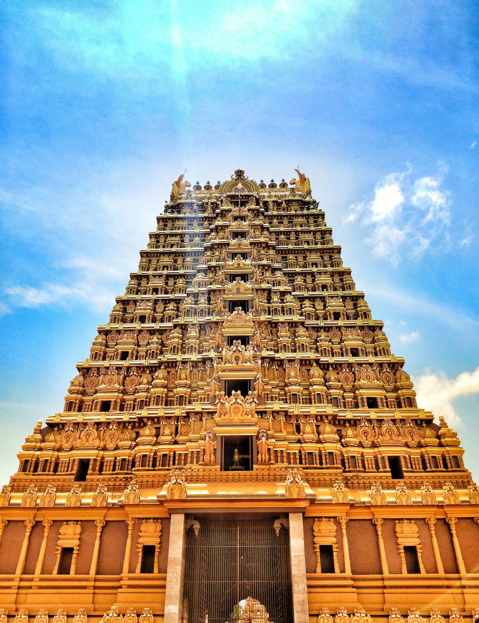 Photo of Explore SriLanka with Intrepid Travel 4/11 by Ankita JaisWal