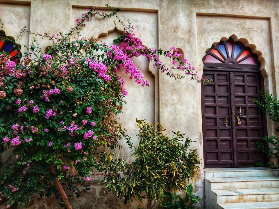 Photo of Escape to Pangarh for Glamping and Bijaipur for Castle stay. 8/8 by Ankita JaisWal