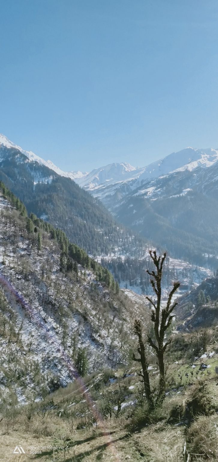 Photo of Tosh, Himachal Pradesh, India by Rajneesh Kumar Rai