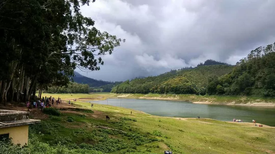 Photo of Mattupetty Dam, Munnar - Top Station Highway, Mattupetty, Kerala, India by Pratyush Rai