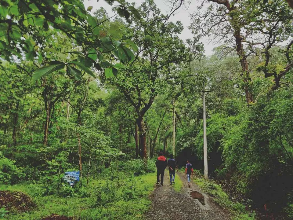 Photo of Dandeli, Karnataka, India by Pratyush Rai