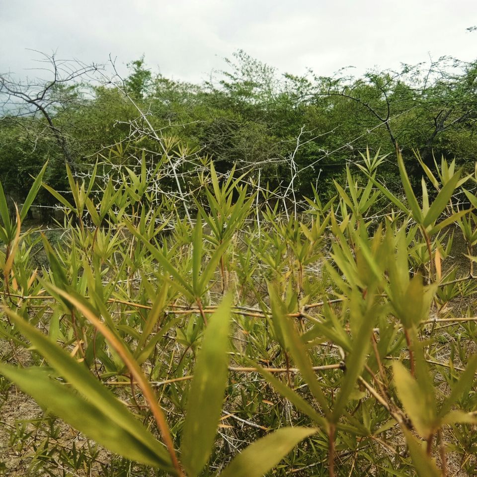 Photo of Hosahalli, Bengaluru, Karnataka, India by majaz rahil khan