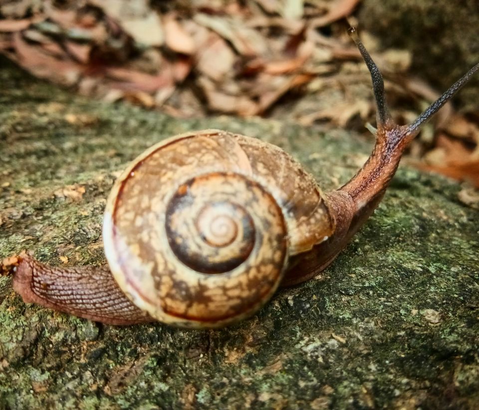 Photo of Hosahalli, Bengaluru, Karnataka, India by majaz rahil khan