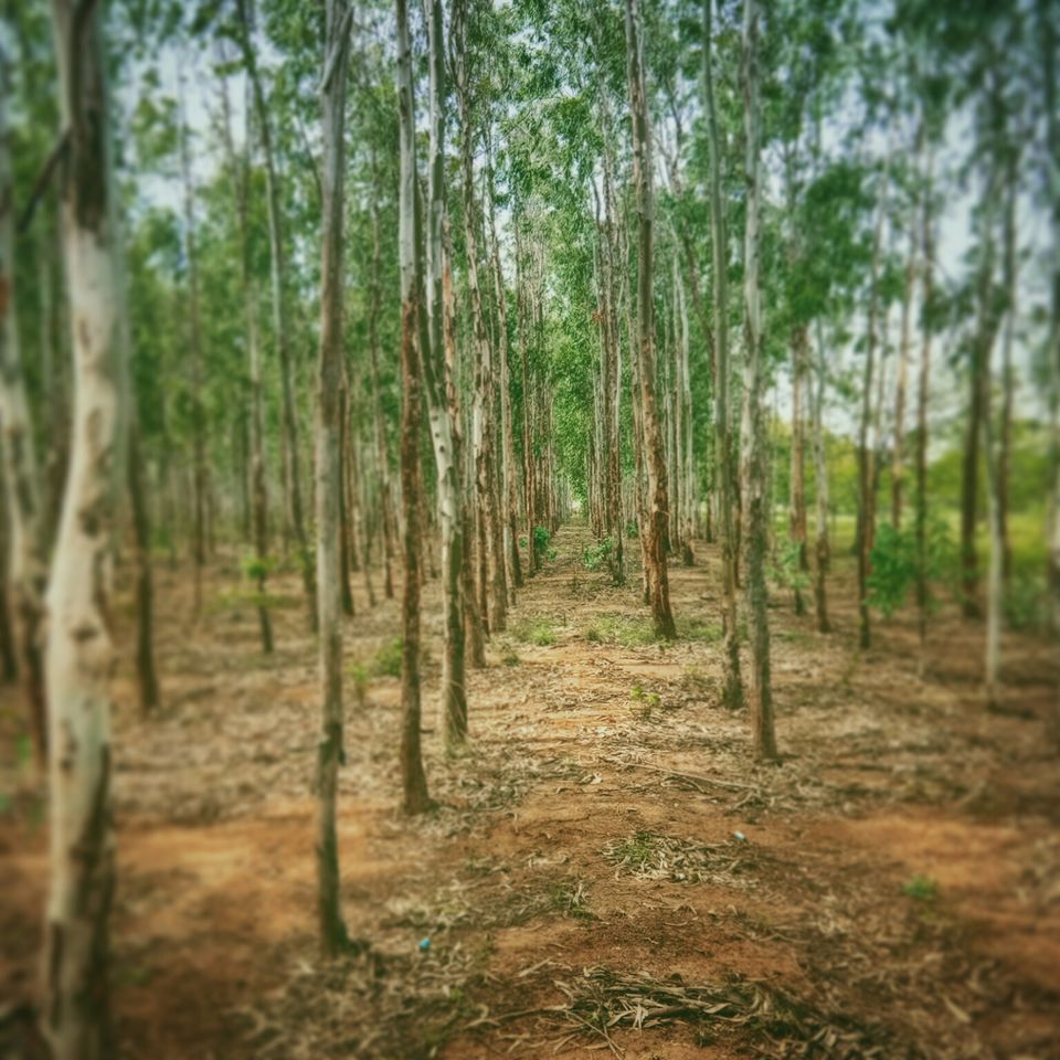 Photo of Hosahalli, Bengaluru, Karnataka, India by majaz rahil khan