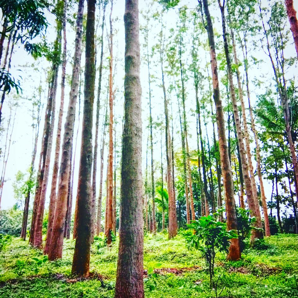 Photo of Hosahalli, Bengaluru, Karnataka, India by majaz rahil khan