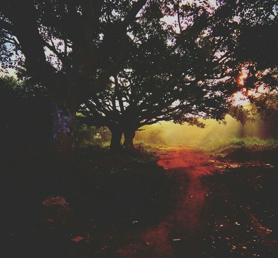 Photo of Hosahalli, Bengaluru, Karnataka, India by majaz rahil khan