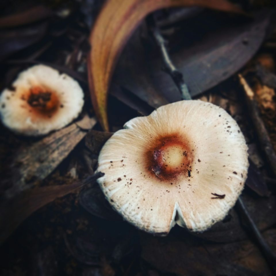 Photo of Hosahalli, Bengaluru, Karnataka, India by majaz rahil khan