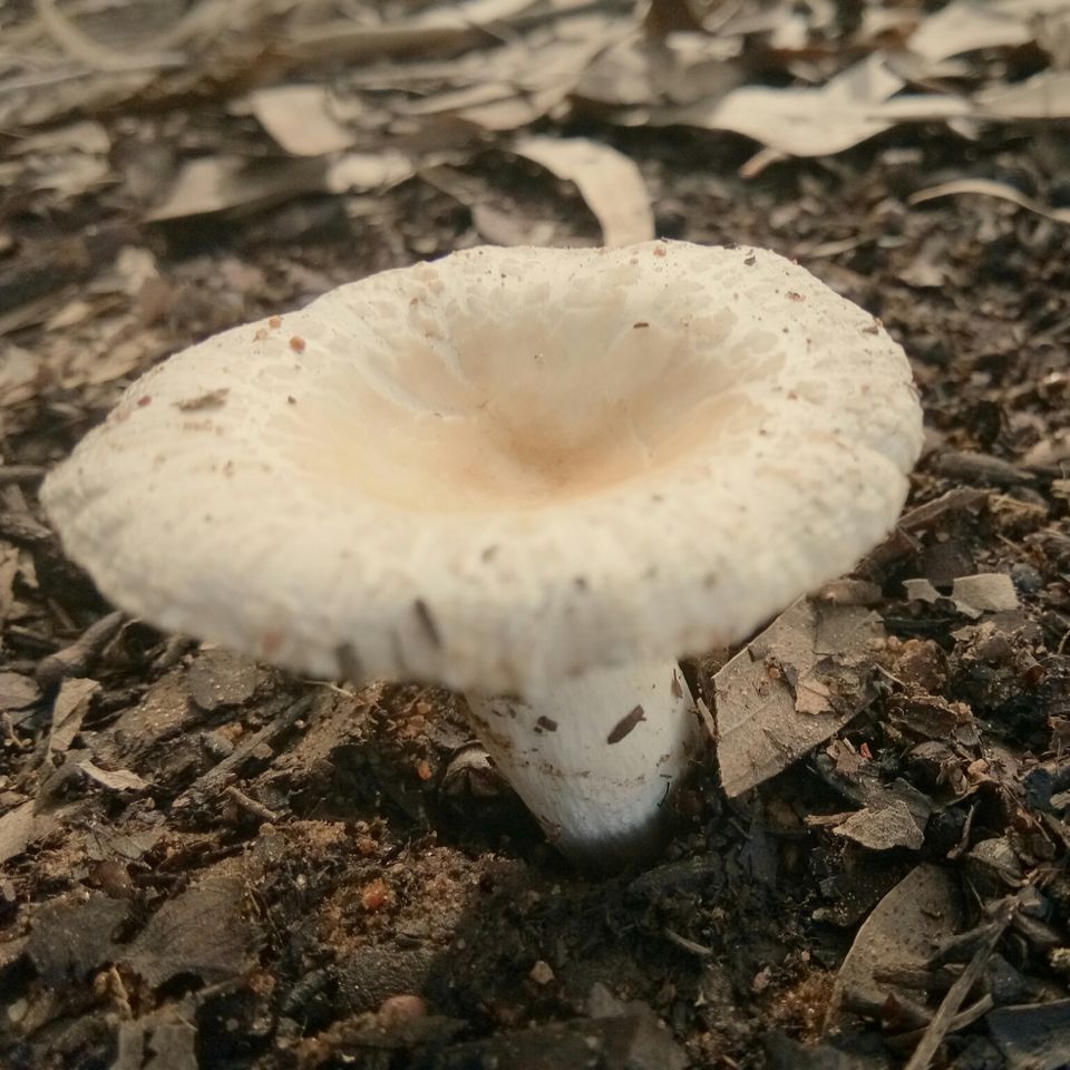 Photo of Hosahalli, Bengaluru, Karnataka, India by majaz rahil khan
