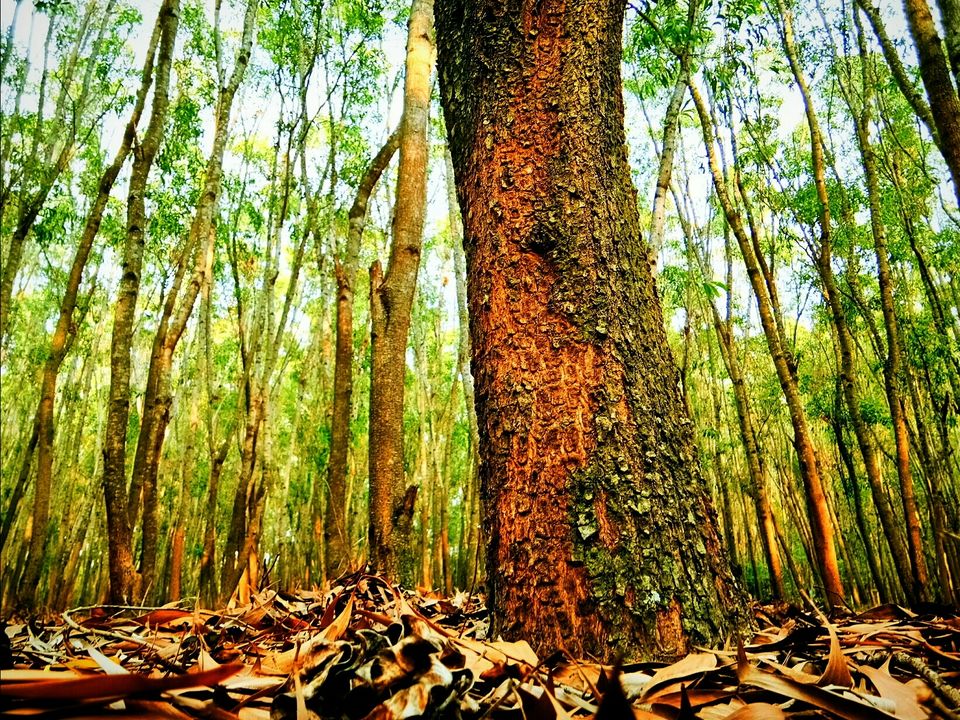 Photo of Hosahalli, Bengaluru, Karnataka, India by majaz rahil khan