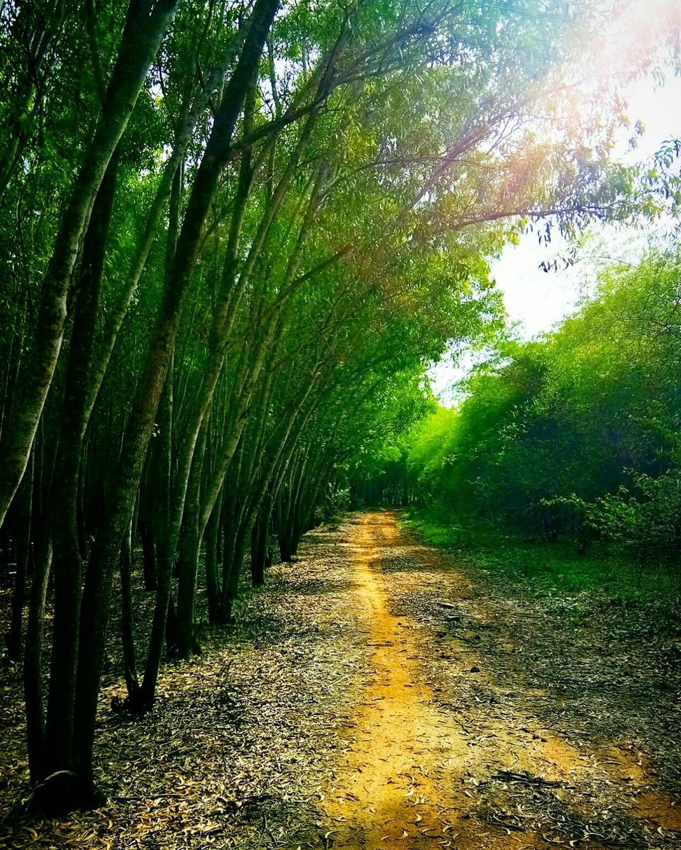 Photo of Hosahalli, Bengaluru, Karnataka, India by majaz rahil khan