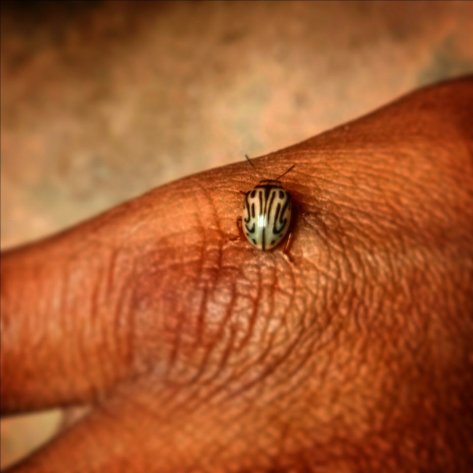 Photo of Hosahalli, Bengaluru, Karnataka, India by majaz rahil khan