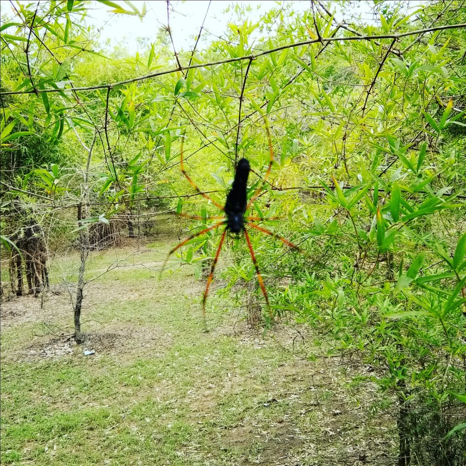 Photo of Hosahalli, Bengaluru, Karnataka, India by majaz rahil khan