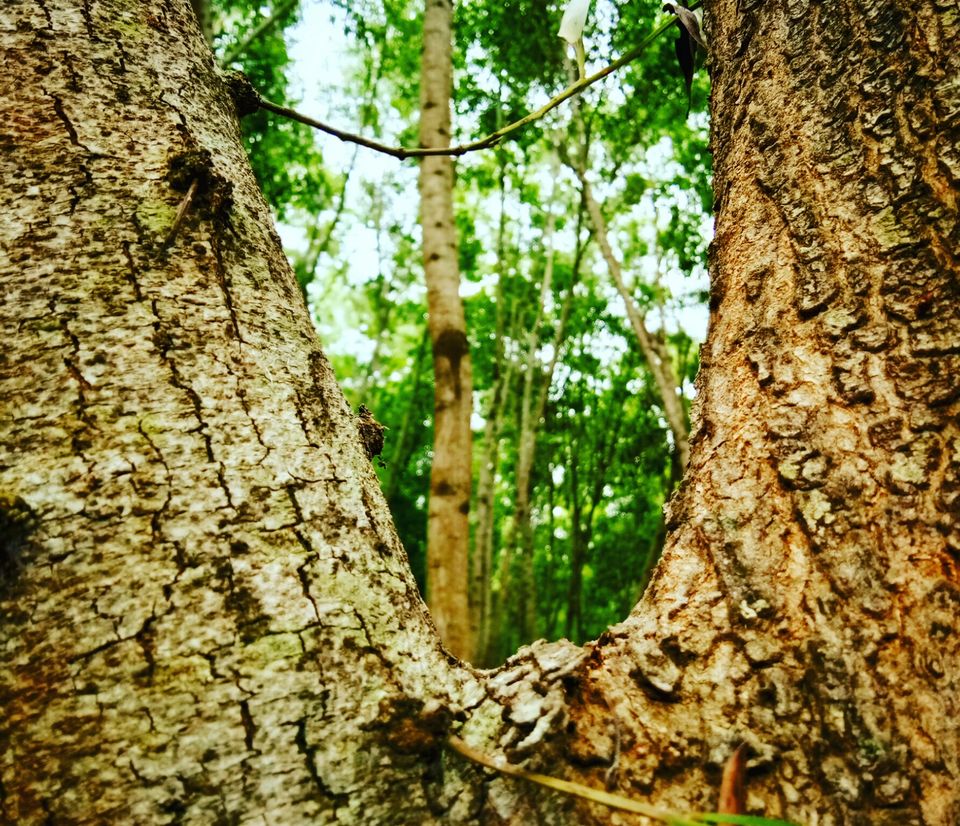Photo of Hosahalli, Bengaluru, Karnataka, India by majaz rahil khan