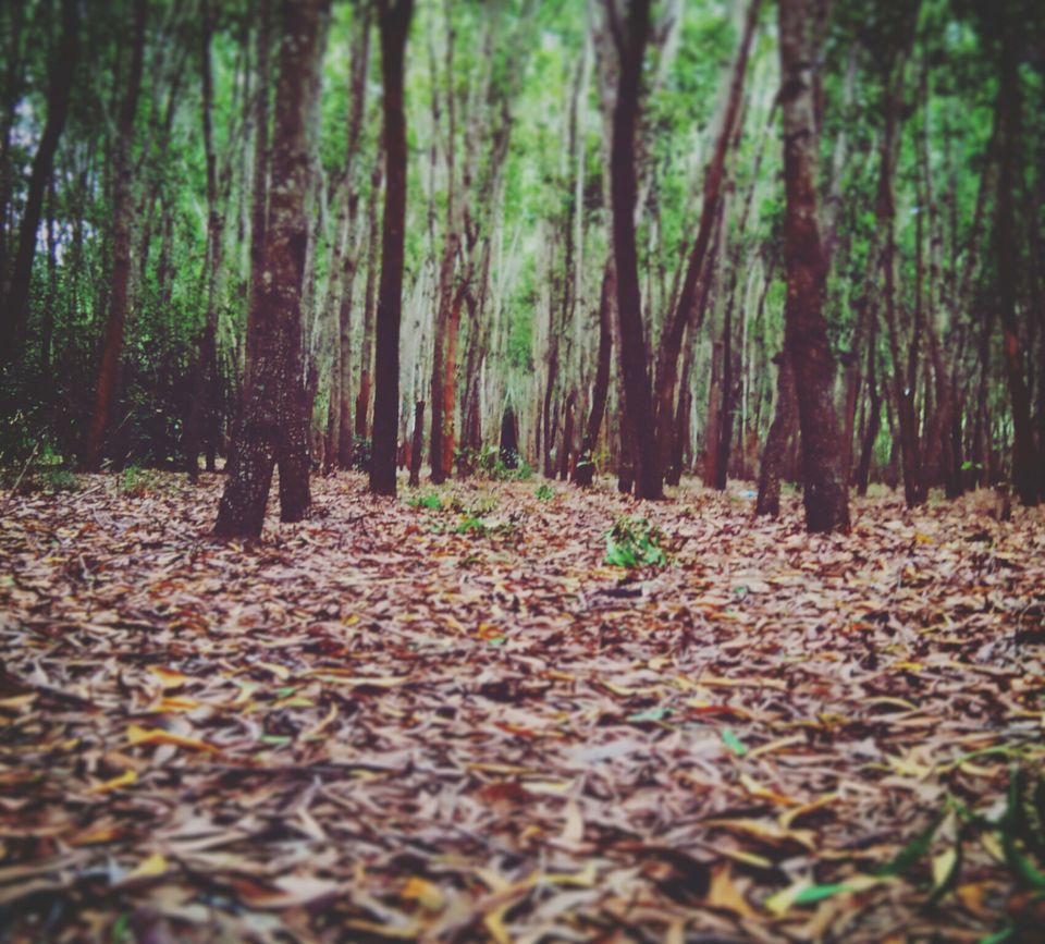 Photo of Hosahalli, Bengaluru, Karnataka, India by majaz rahil khan