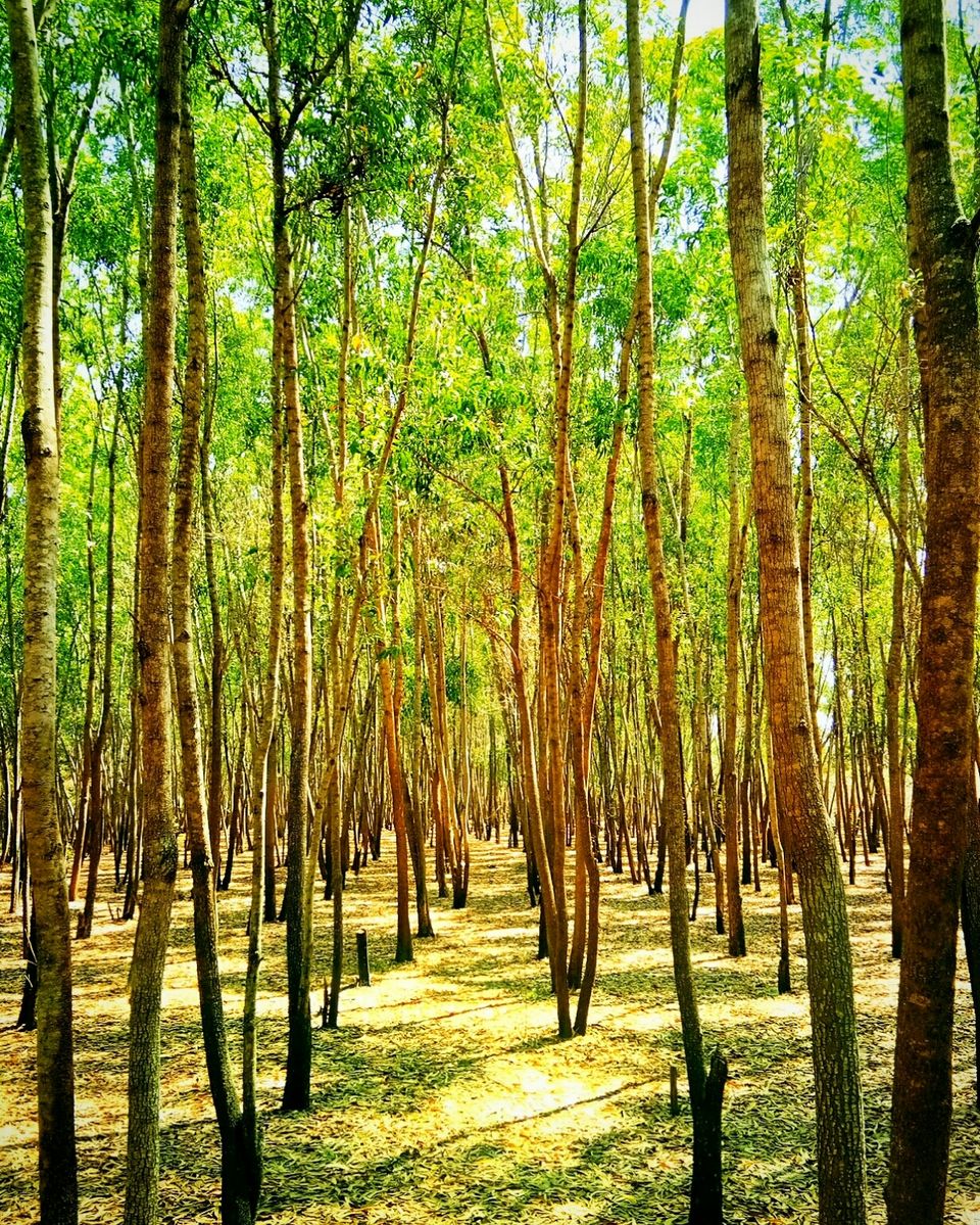Photo of Hosahalli, Bengaluru, Karnataka, India by majaz rahil khan
