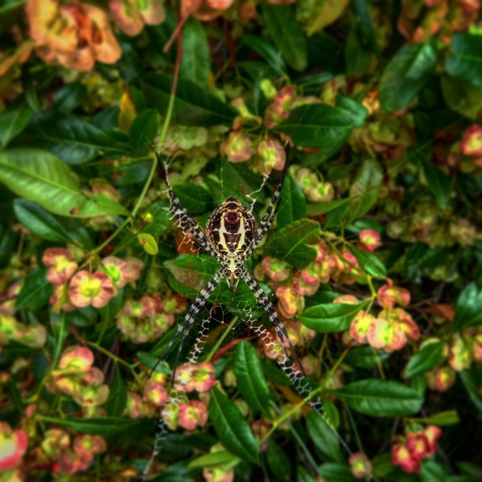 Photo of Hosahalli, Bengaluru, Karnataka, India by majaz rahil khan