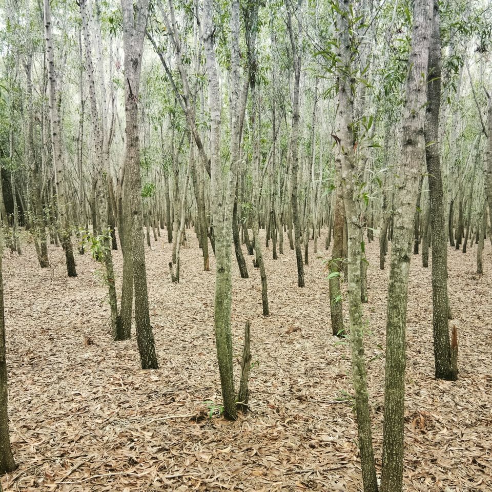Photo of Hosahalli, Bengaluru, Karnataka, India by majaz rahil khan