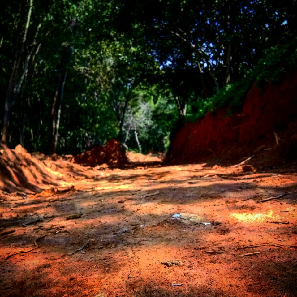 Photo of Hosahalli, Bengaluru, Karnataka, India by majaz rahil khan