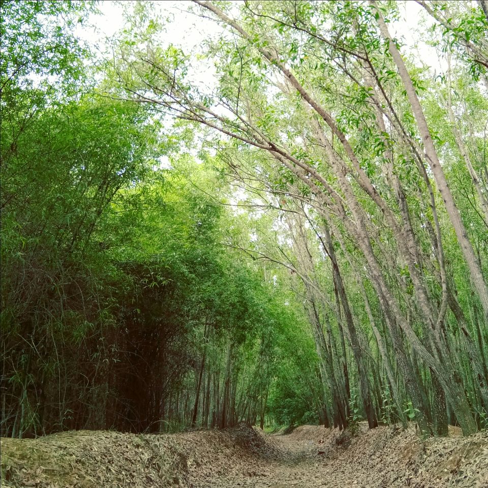 Photo of Hosahalli, Bengaluru, Karnataka, India by majaz rahil khan